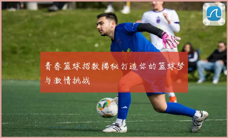 青春篮球招数揭秘打造你的篮球梦与激情挑战