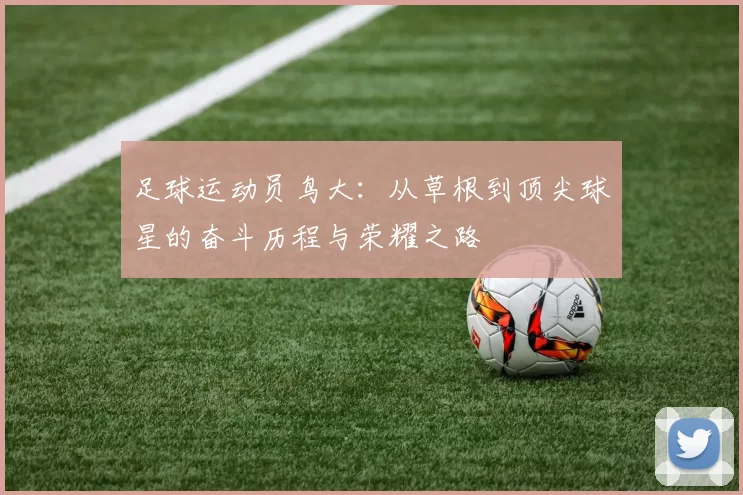 足球运动员鸟大：从草根到顶尖球星的奋斗历程与荣耀之路