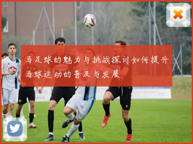 马足球的魅力与挑战探讨如何提升马球运动的普及与发展