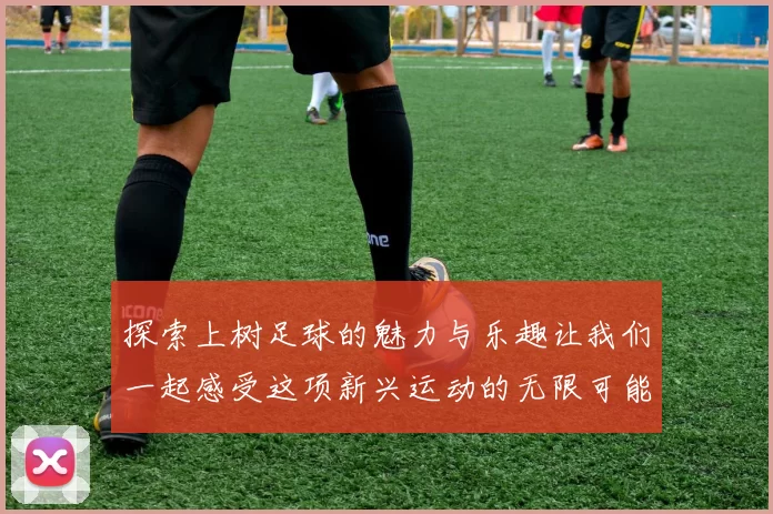 探索上树足球的魅力与乐趣让我们一起感受这项新兴运动的无限可能